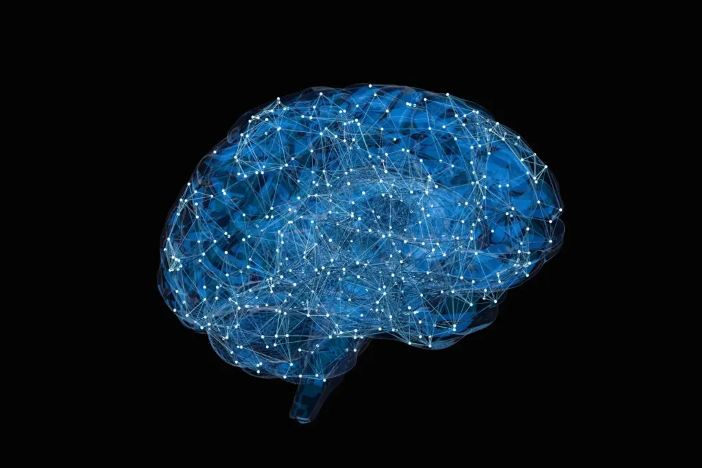 Digital illustration of human brain