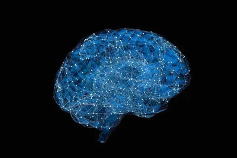 Digital illustration of human brain