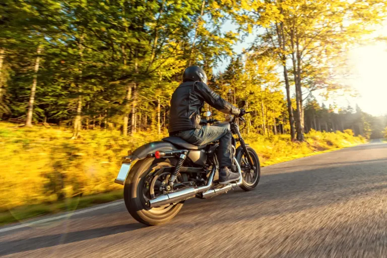 Motorcycle rider driving on road in autumn