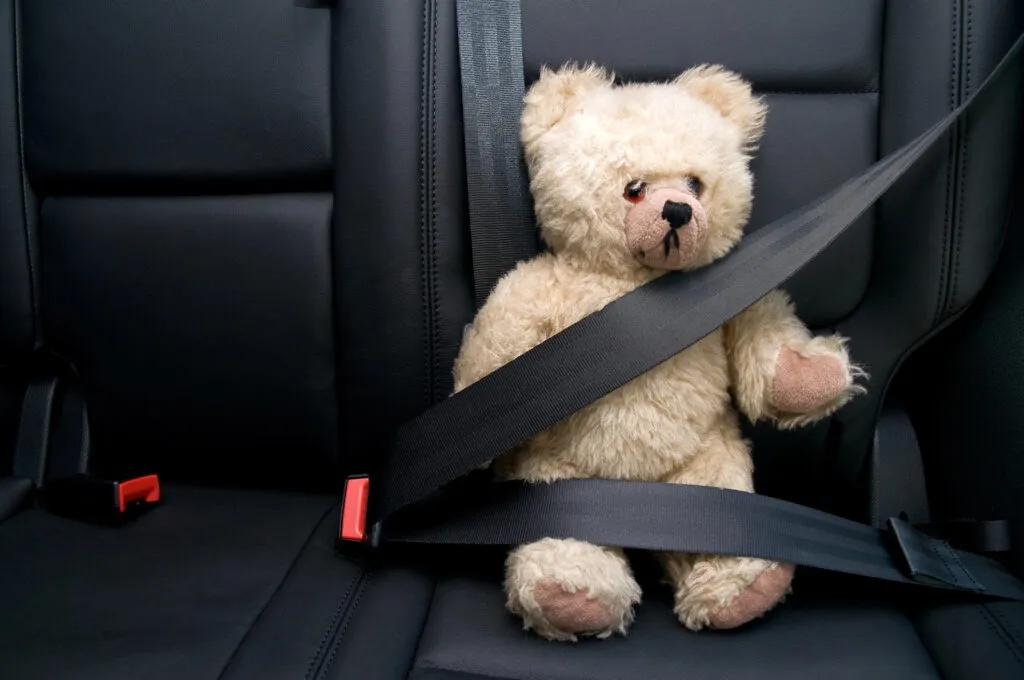 Teddy bear wearing seatbelt in car